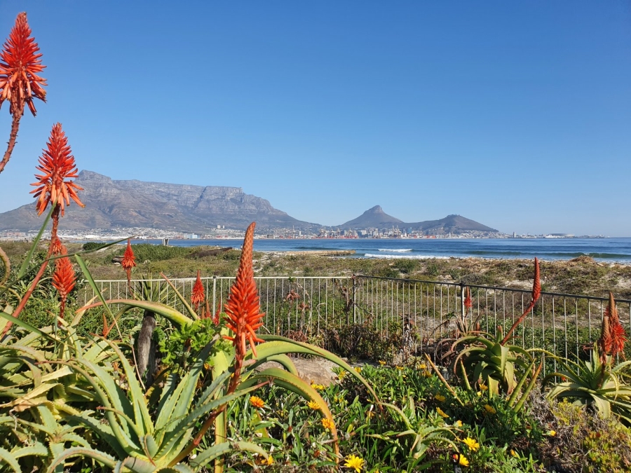 1 Bedroom Property for Sale in Lagoon Beach Western Cape
